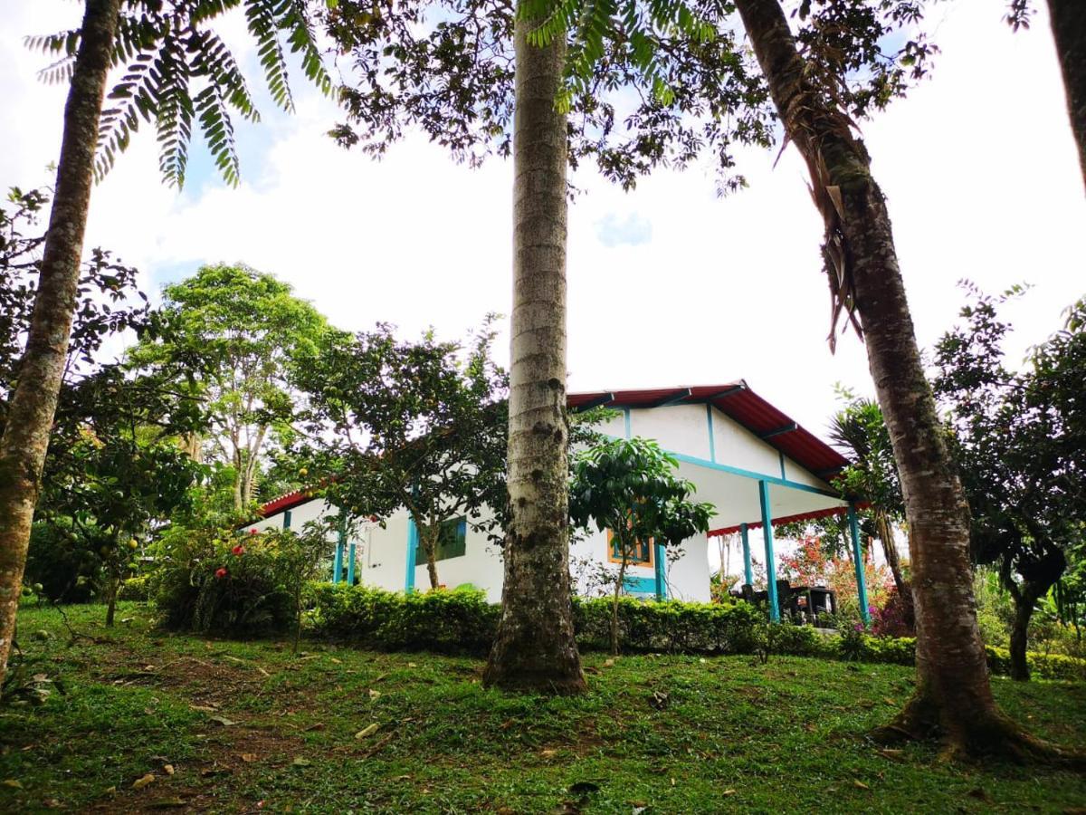 Hostal Campestre El Santuario Filandia Esterno foto